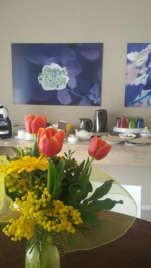 Bed & Breakfast Il Colore Dei Sogni Due Carrare